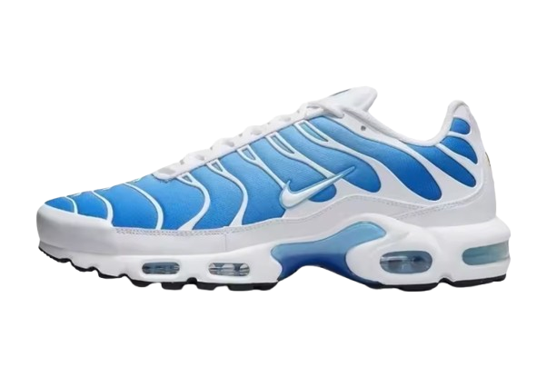Air Max Plus TN's OG purple