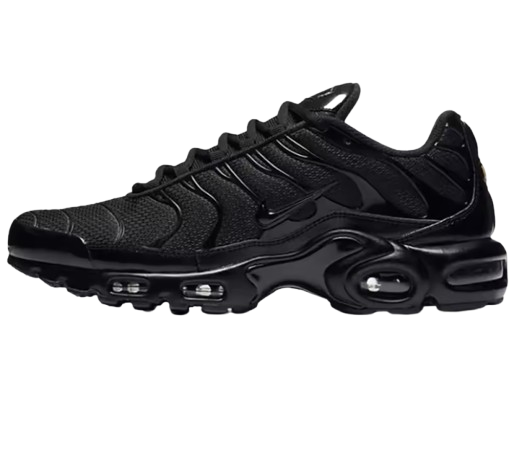 Air Max Plus TN's OG purple