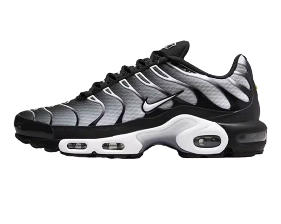 Air Max Plus TN's OG purple